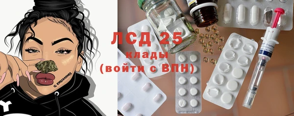 мяу мяу мука Беломорск