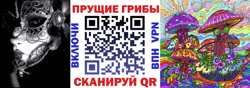Галлюциногенные грибы мицелий  Меленки 